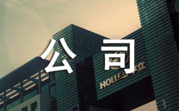 公司IT技術(shù)人員轉(zhuǎn)正申請書