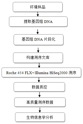 it技術(shù)_順豐科技有限公司it支持_it技術(shù)支持