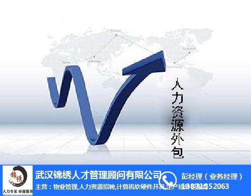 it外包市場分析及營銷模式探討_it外包維護(hù)方案_it技術(shù)外包