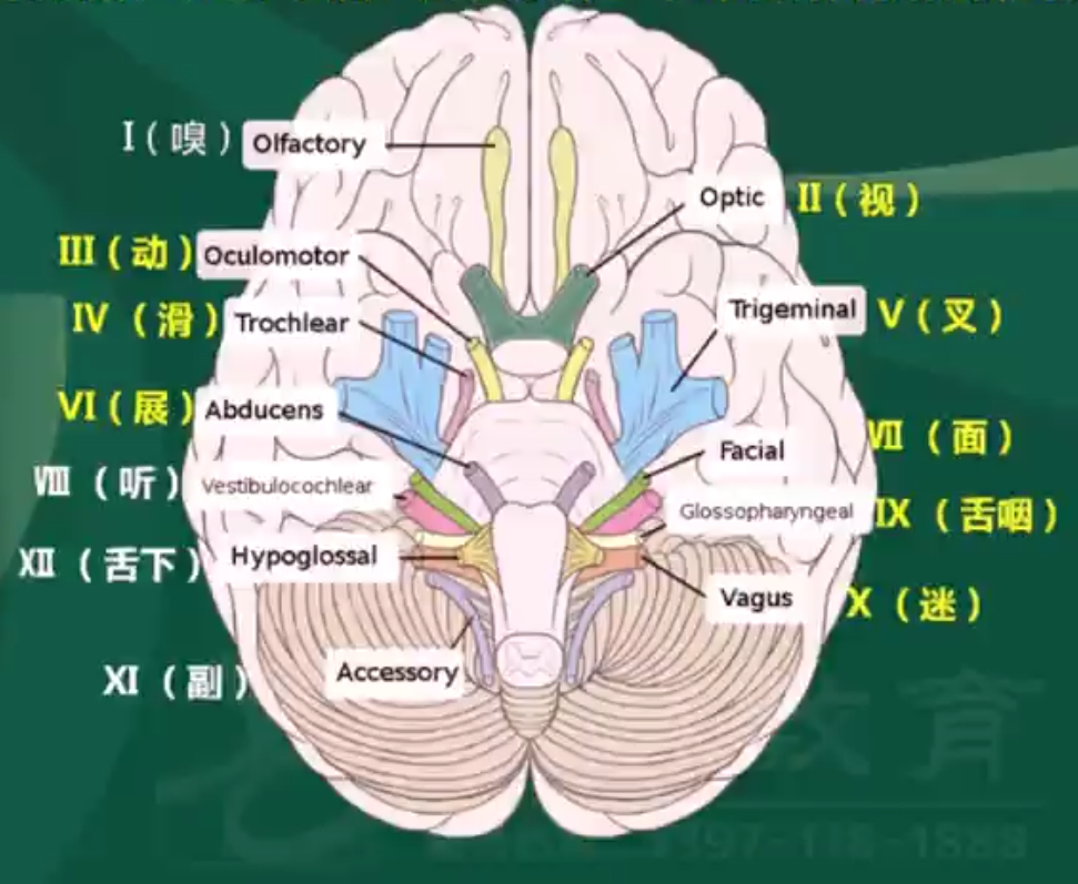 電梯調試員技術比維保高_物聯(lián)網(wǎng)技術調試員論壇_it技術員