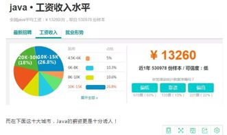 重慶it公司排名_it公司_中國(guó)最大的it公司