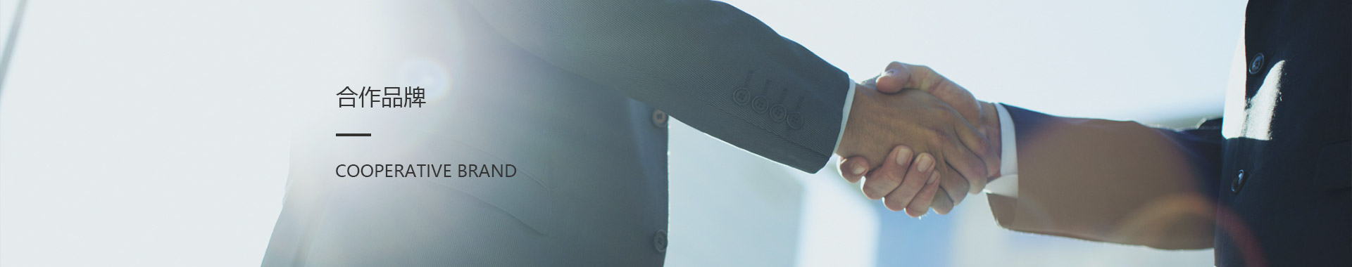 合作品牌
